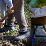 Kalendarz siewu na wrzesień 2025: co robić w ogrodzie i warzywniku Kalendarz siewu na wrzesień 2025: co robić w ogrodzie i